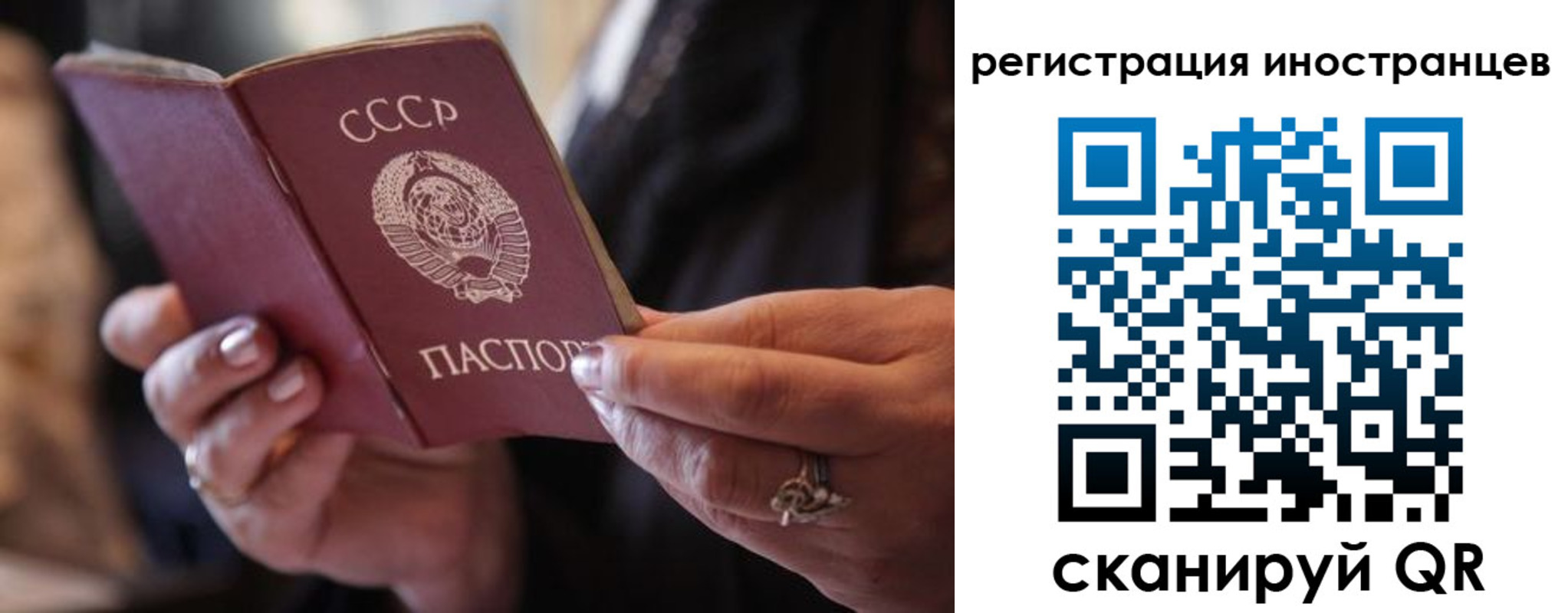 где прописаться в Волосово